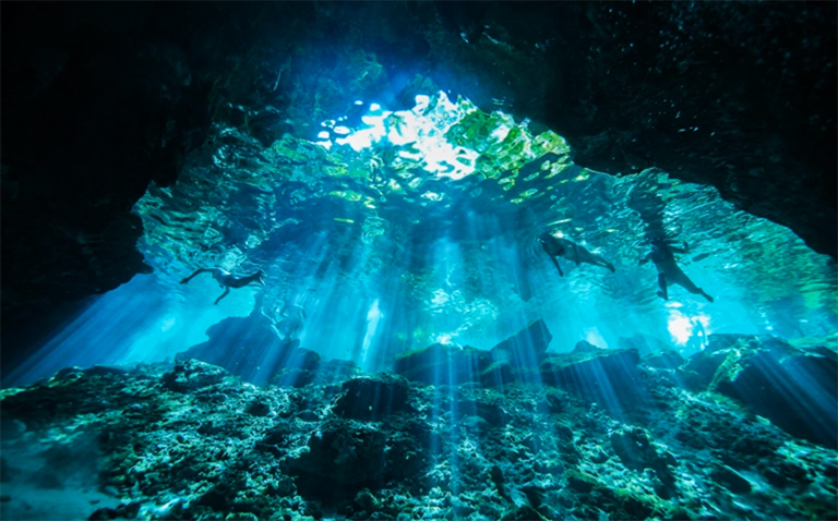Une scène sous-marine avec des rayons du soleil transperçant l'eau (lire la vidéo).